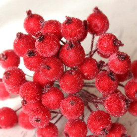 Цукрові ягоди червоні калина, 1 гілочка, 2 ягідки, 1 см