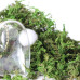 Мох натуральный для декора, зеленого цвета, размер упаковки 10х10 см