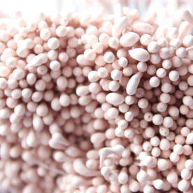 Матові тичинки на нитці, 2 мм, 30 гілочок, кольору пудра