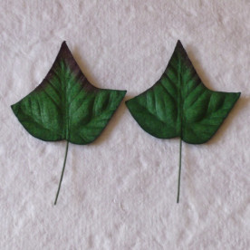 Набір 10 листочків плюща зеленого кольору