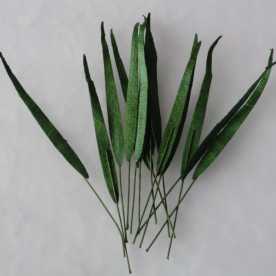 Набір 10 довгих листочків зеленого кольору