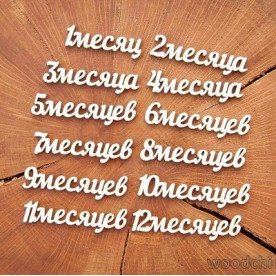 Чіпборд Набір 12 місяців, Woodchic