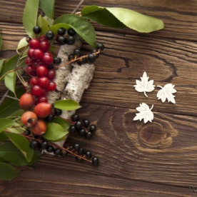 Чипборд набор кленовые листочки, Woodchic