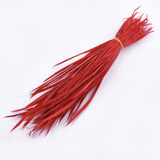 Набір гусячих пір'їн, червоний, довжина 15-25 см, товщина 3-4 мм, 5 шт