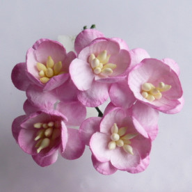 Набір 5 декоративних квіток вишні ніжно-рожевого кольору