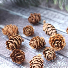 Шишка натуральна для декору, 1-1.5 см