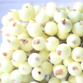 Сахарные ягодки калины, 1 см, светло-желтый, 1 веточка, 2 ягодки