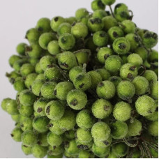 Цукрові ягідки калини, 1 см, трав'янисто-зелений колір, 1 гілочка, 2 ягідки
