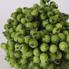 Цукрові ягідки калини, 1 см, трав'янисто-зелений колір, 1 гілочка, 2 ягідки