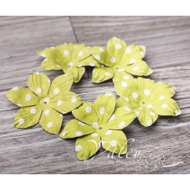 Декоративные бумажные Полевые цветы 40*40мм 5шт цвет зеленый в белый горох 2985, Valeo
