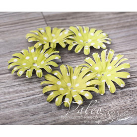 Декоративні паперові Ромашки 50 * 50мм 5шт колір зелений в білий горох 2986, Valeo