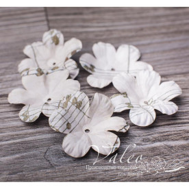 Декоративні паперові Польові квіти 40 * 40мм 5шт квітковий мотів2996, Valeo