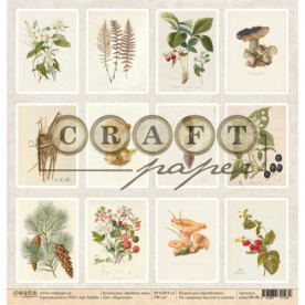 Скрап папір Мухомор Аромати лісу, 30х30 см, Craft Paper