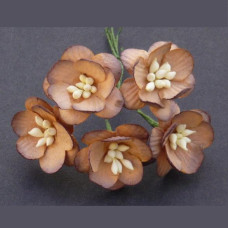 Набір 5 декоративних квіток вишні шоколадного кольору