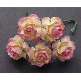 Набір 5 відкритих троянд кольору шампанського, 25 мм.