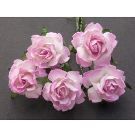 Набір 5 відкритих ніжно-рожевих троянд, 25 мм