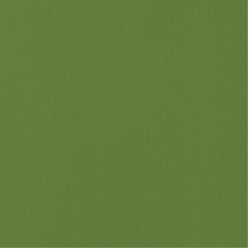 Лист кольорового кардстока Spinach 30х30 см від American Crafts
