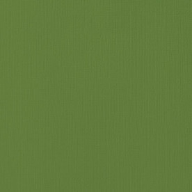 Лист цветного кардстока Spinach 30х30 см от American Crafts