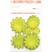 Набор бумажных цветов Lime - Paper Flowers Mixed от KaiserCraft
