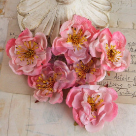 Набір паперових квітів Bell Canto, 6 шт. від Prima