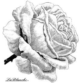 Силиконовый штамп Single Rose, La Blanche, 5х6,3 см