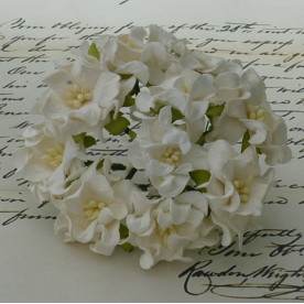 Набор из 5 декоративных цветков гардений цвета слоновой кости, 35 мм