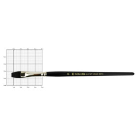 Білка плоска, Classic 3016, № 8, к.р. пензель, Kolos