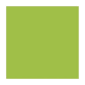 Папір для дизайну, Fotokarton A4, 21*29,7см, №50 Салатовий, 300г/м2, Folia