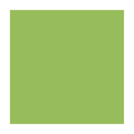 Бумага для дизайна, Fotokarton A4, 21*29,7см, №51 Светло-зеленый, 300г/м2, Folia