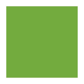 Папір для дизайну, Fotokarton A4, 21*29,7см, №55 Трав'яно-зелений, 300г/м2, Folia