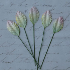 Набір 10 декоративних листочків біло-зеленого кольору розміром 25 мм