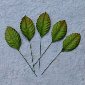 Набор 10 декоративных листиков зеленого цвета размером 35 мм