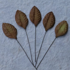 Набор 10 декоративных листиков коричневого цвета размером 35 мм