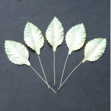 Набір 10 декоративних листочків біло-зеленого кольору розміром 45 мм