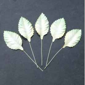 Набір 10 декоративних листочків біло-зеленого кольору розміром 45 мм