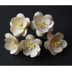 Набор 5 декоративных цветков вишни цвета темной слоновой кости
