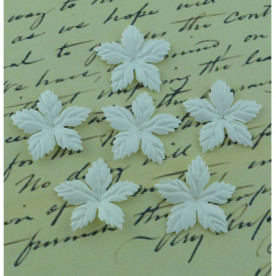 Набір 10 білих квіток пуансетії, 25 мм