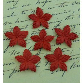 Набір 10 червоних квіток пуансетії, 25 мм