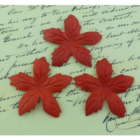 Набір 5 червоних квіток пуансетії, 60 мм