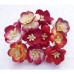 Цветы вишни, набор из 5 декоративных цветочков в красных тонах
