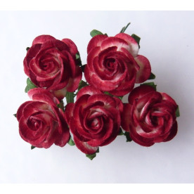 Набор 5 открытых роз 25 мм бордового и белого цвета