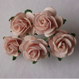 Набір 5 відкритих троянд 25 мм блідо-рожевого кольору