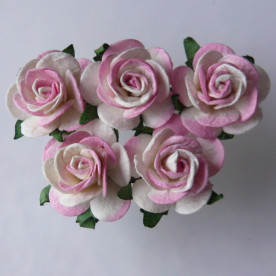 Набор 5 открытых роз 25 мм бело-розового цвета