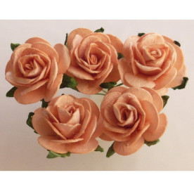 Набір 5 відкритих троянд 25 мм абрикосового кольору
