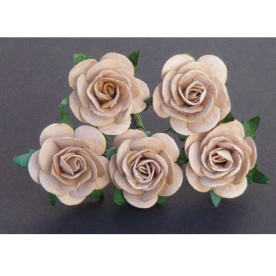 Набор 5 открытых роз 25 мм светло-коричневого цвета