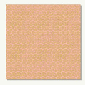 Односторонній папір для скрапбукінгу 30х30 см Journey: Pacific - Cook від 7gypsies