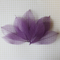 Набор скелетированных листиков фиолетового цвета 10 шт., 10 см