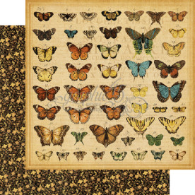 Двусторонняя бумага Buttefly Specifics 30x30 см от Graphic 45