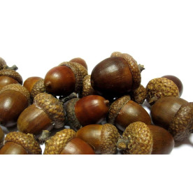 Жолудь натуральний, темно-коричневий, 1 шт, 2-3 см