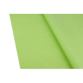 Тиш'ю папір, салатовий, 18 г/м2, 75х50 см